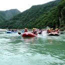 신방한라동백@ 3 이미지