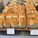 불당사랑내과의원 이미지