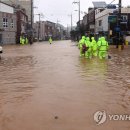 거진시내 이미지