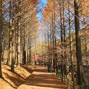 미동산수목원 이미지