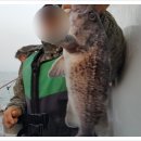 배낚시체험 후기 안흥항구낚시 즐거운 시간 보내기