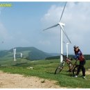 백산목장 이미지