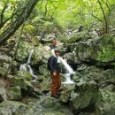 참새미골 이미지