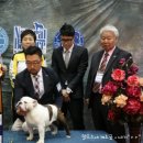 레오인터내셔널 이미지