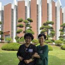 동산동신 이미지