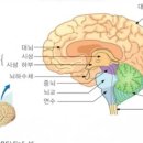 진정경로당 이미지