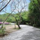 캠핑어클락 이미지