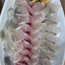 대구식당 | 포항 죽도시장 맛집 대게 물회 "대구회식당" 후기