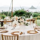 우쿨렐레와 함께하는 하루 이미지