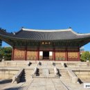 청춘투어 네이버블로그