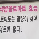 개신초교 병설유치원 이미지