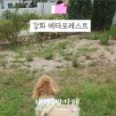 멍레스트 이미지