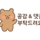 꿀사과씨앗닭강정