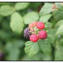 태헌농장2 이미지