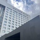 1153 | 제주 시내 호텔 메종글래드 제주 1153호에서 묵은 후기