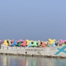 동해찜 | 동해 맛집 동해가리비본점 가리비찜 솔직후기 묵호 현지인도 인정