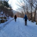 나현농장 이미지