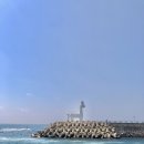 제주공항게스트하우스그린데이 이미지