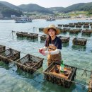 퓨전포차 | [연제구 맛집] 불금에 먹는 겨울 제철 굴보쌈에 소주 한 잔! '쭌이네 퓨전포차' 솔직 후기