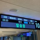 1009 | [제주여행] 대한항공 김포-제주 KE1009, KE1318 후기 | A321-neo, A330-300