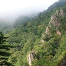 공룡발톱 이미지