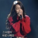 마요 펫 이미지