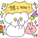 BG독케어센터 이미지