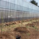 지재농장 이미지