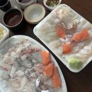 정직회 | [수원영통] 정직회 광어(소)단품+참돔·농어(중)세트 내돈내산 회포장 후기