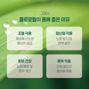 트루그린