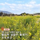 오조1농로 | 제주 오조리 가볼만한 곳 웰컴투 삼달리 촬영지 오조포구