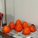 산장두부촌 | [2511-2] 마음이여백없이빽빽한