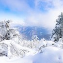 굿모닝24 이미지