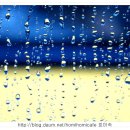 호미숙 포토갤러리[8월 여름풍경-자전거의 궤적[폭염과 폭우, 태풍 그리고 자전거여행] 이미지