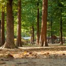 영동1교 북측 이미지