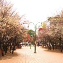 율하광장 반계공원 이미지