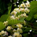 풍경(오월의 이야기 이미지