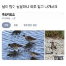 화이트클라우드 이미지