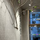 몽불 - 해운대구 센텀동로 90 | 센텀고기집 추천, 가족 외식으로 딱! 몽불 차돌박이&돼지갈비 후기