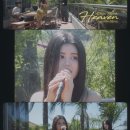 엠플리파이