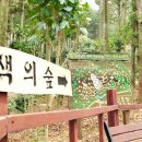 랜드숲 이미지