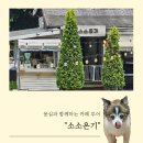 온기 | 몽과 함께 간 남양주 애견카페 소소온기 상세 후기