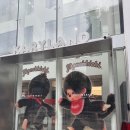 신사 가로수길 캐리마켓 몬치치 후기, 일본 안 가도 되겠어요.
