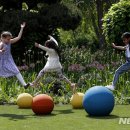 그루밍가든 이미지