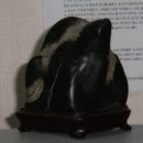 금호강7 이미지