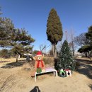 댕그리 | 댕그린 김포 애견카페 방문 후기｜천연잔디 운동장+브런치까지 한 번에!