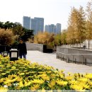 국립 중앙박물관 정원풍경 이미지