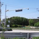 주정차단속-131 이미지