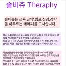 솔비쥬