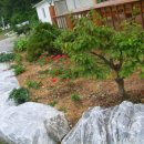 꽃지통나무펜션 이미지